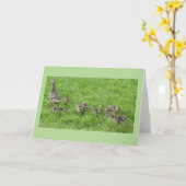 Carte Canard avec Canetons (Fleur jaune)