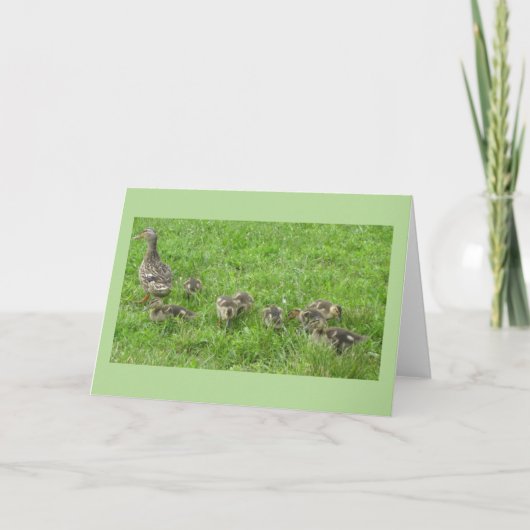 Carte Canard avec Canetons (Devant)