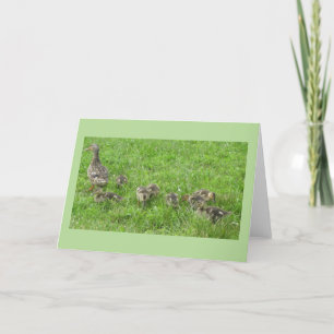 Carte Canard avec canettes