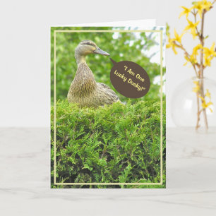CARTE CANARD CHANCEUX/POUR T'AVOIR COMME PÈRE/CANARD SUR