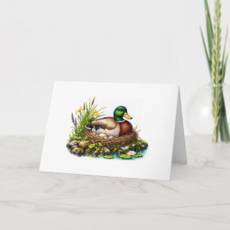Carte Canard colvert sur son nid