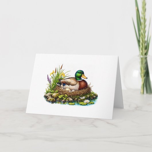 Carte Canard colvert sur son nid (Devant)