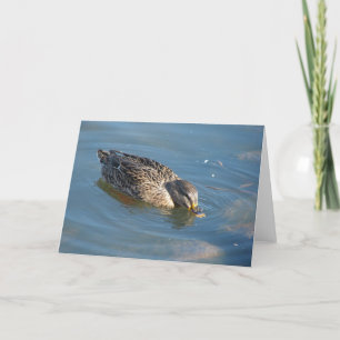 Carte Canard dans l'eau