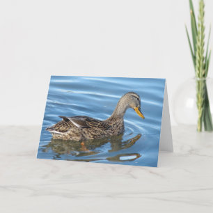 Carte Canard dans l'eau