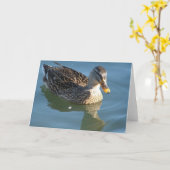 Carte Canard dans l'eau (Fleur jaune)