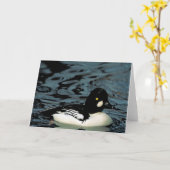 Carte Canard de Goldeneye (Fleur jaune)