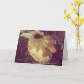 Carte Canard de jardin (Fleur jaune)