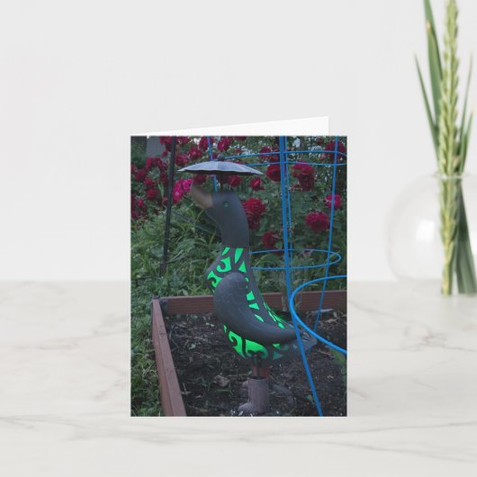 Carte Canard de jardin (Devant)