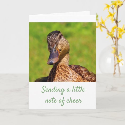 Carte Canard doux Mallard Se porte bien (Fleur jaune)