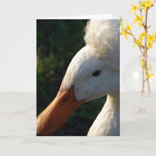 Carte Canard en cage (Fleur jaune)