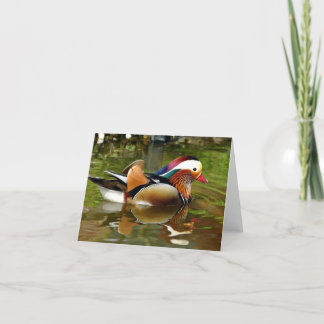 Carte Canard mandarin