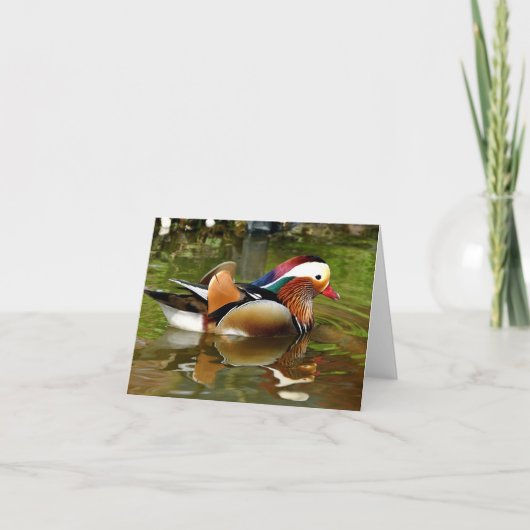 Carte Canard mandarin (Devant)