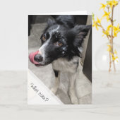 Carte Canard mangé gâteau Anniversaire (Fleur jaune)