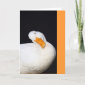Carte Canard mignon (Devant)