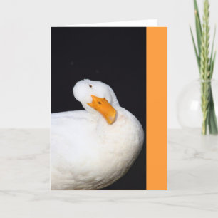Carte Canard mignon