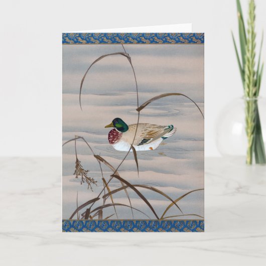 Carte Canard nager dans le lac (Devant)
