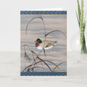 Carte Canard nager dans le lac