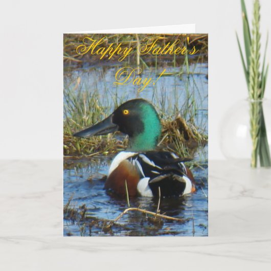 Carte Canard souchet B25 (Devant)