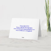 Carte canards (Dos)