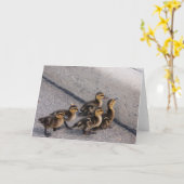 Carte canards (Fleur jaune)