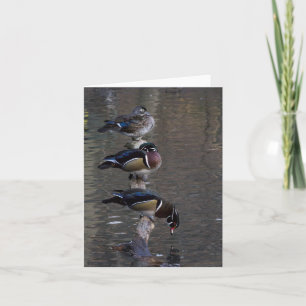 Carte Canards à bois sur Branche