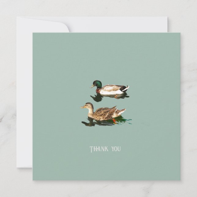 Carte Canards colverts (Devant)