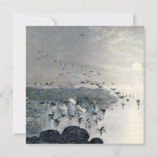 Carte Canards, colverts et cygnes sur le lac au coucher 