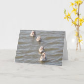 Carte Canards dans une rangée (Fleur jaune)