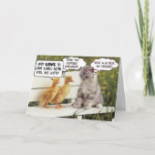 Carte Canards et chaton (Devant)