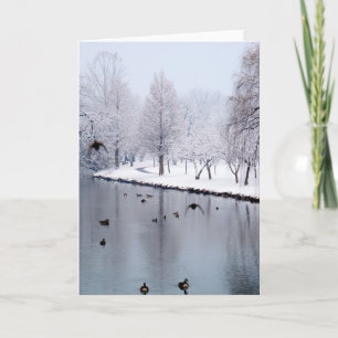 Carte Canards sur The Creek
