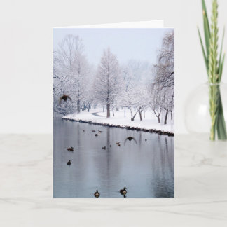 Carte Canards sur The Creek