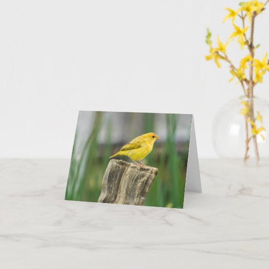 Carte Canaries (Fleur jaune)