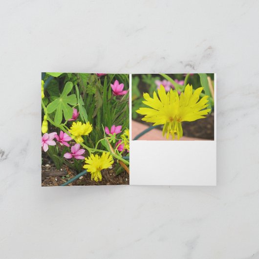 Carte Canary & RedStar Note (Intérieur)