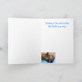 Carte Cancer amusant à l'envers du support de chat (Intérieur)