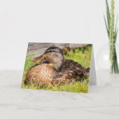Carte Cancer Encouragement Canard-colard (Devant)