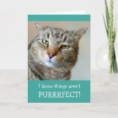 Carte Cancer Encouragement Funny Chat (Devant)