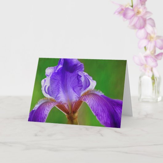Carte Cancer Hope Et Soutien Iris (Orchidée)