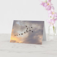 Cancer, maladies graves oiseaux en vol