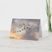 Carte Cancer, maladies graves oiseaux en vol (Devant)