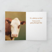Carte Cancer Support Funny Cow (Intérieur)