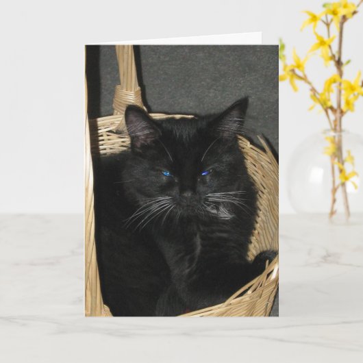Carte Candid Kittens Greeting Card (Fleur jaune)