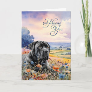 Carte Cane Corso Chien Fleurs Sauvages Vue Scénique Tu M