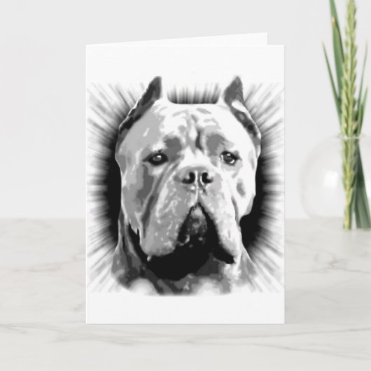 Carte Cane Corso Dog (Devant)