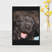 Carte Cane Corso Mastiff Puppy (Fleur jaune)