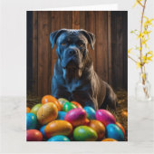 Carte Cane Corso OEufs de Pâques (Fleur jaune)