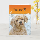 Carte caniche marron à 7e anniversaire en osier (Fleur jaune)