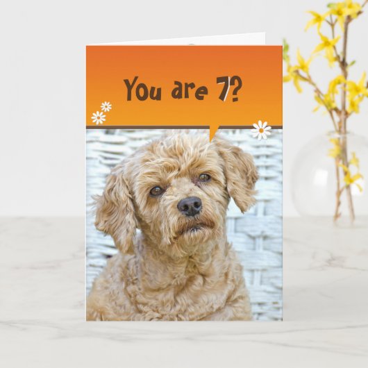 Carte caniche marron à 7e anniversaire en osier (Fleur jaune)