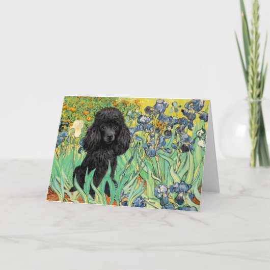Carte Caniche (noir 1) - Iris (Devant)