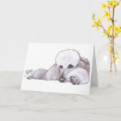 Carte Caniche standard blanc dans le repos (Fleur jaune)