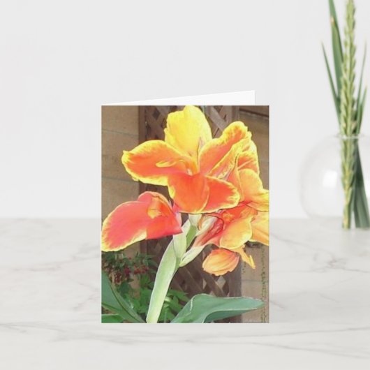 Carte Canna Lily Notecard (Devant)